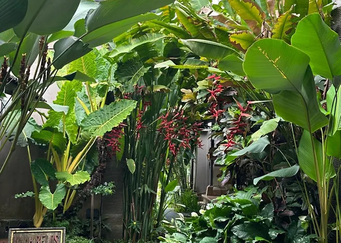 Séjour chez l'habitant Umah Belos Ubud