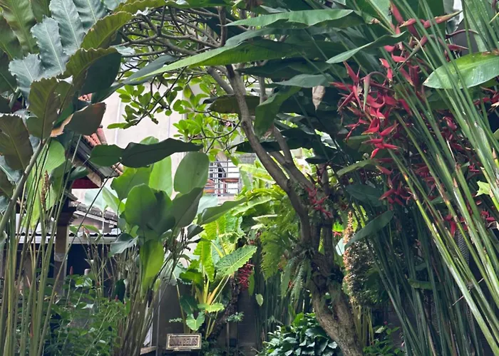 Séjour chez l'habitant Umah Belos